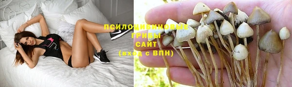 первитин Рославль