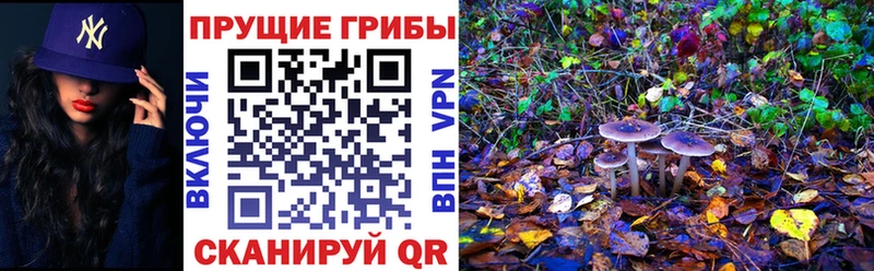 МЕГА рабочий сайт  как найти закладки  Кадников  Галлюциногенные грибы прущие грибы 